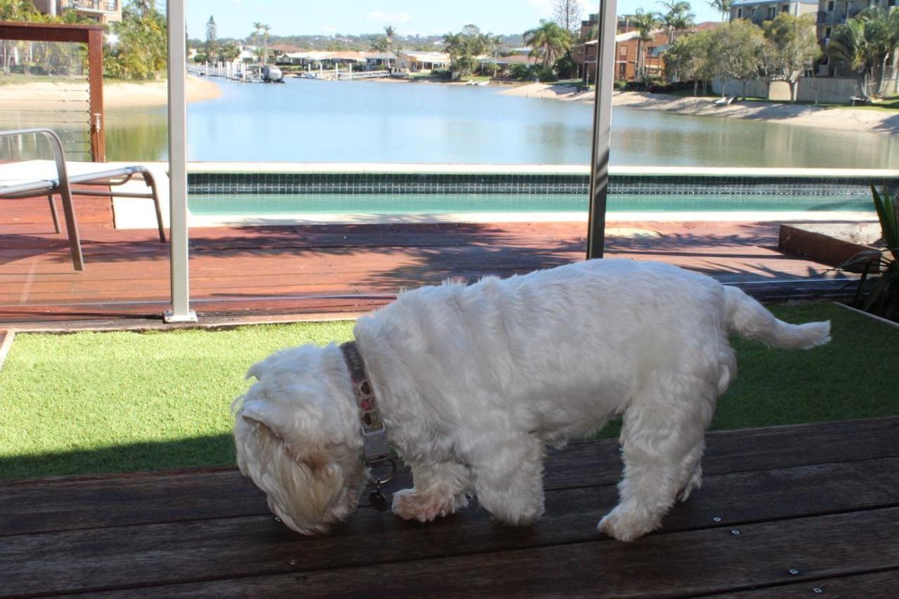 Saltwater Villas - Pet Friendly Accommodation Mooloolaba Exterior foto